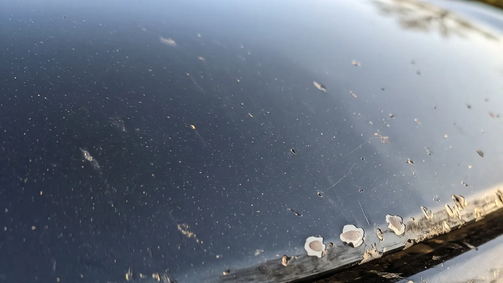 Stone chips along the front of a black bonnet